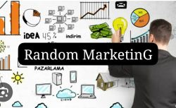 IMG-20251110-WA0018 IMG-20251110-WA0018