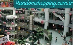 IMG-20251110-WA0020 IMG-20251110-WA0020